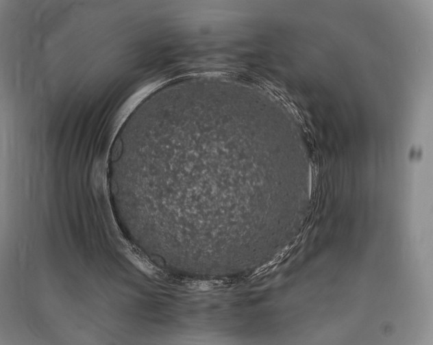 X0000091340147200708171418