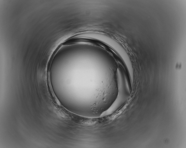 X0000091340148200708171418