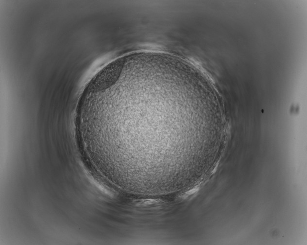 X0000091340151200708171418