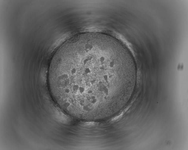 X0000091340153200708171418