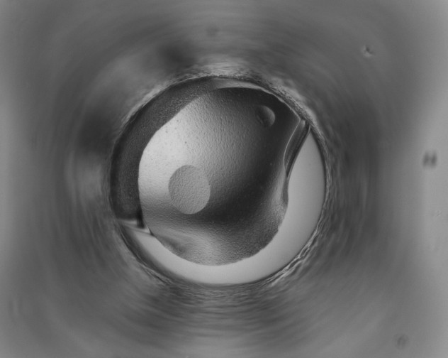 X0000091340154200708171418