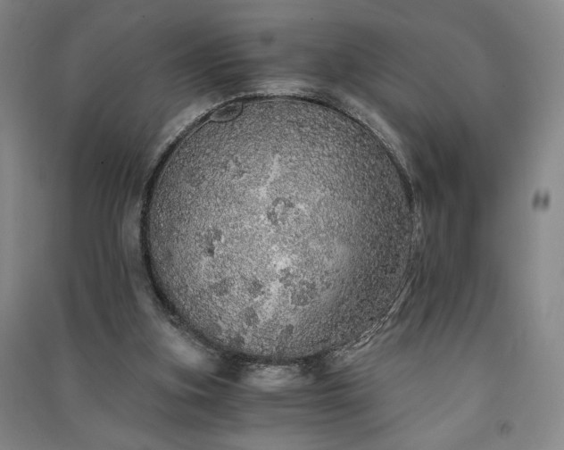 X0000091340155200708171418