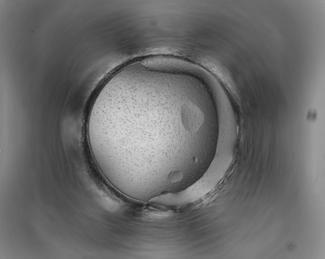 X0000091340156200708171418