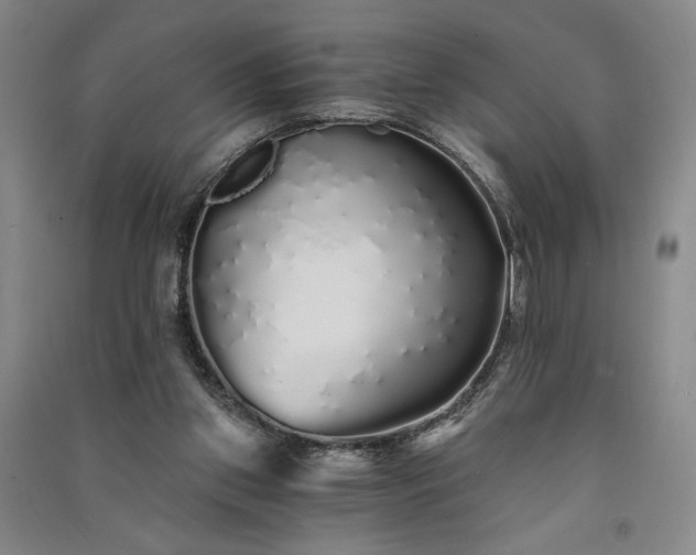 X0000091340157200708171418