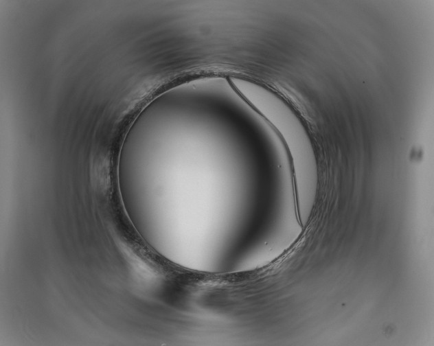 X0000091340158200708171418