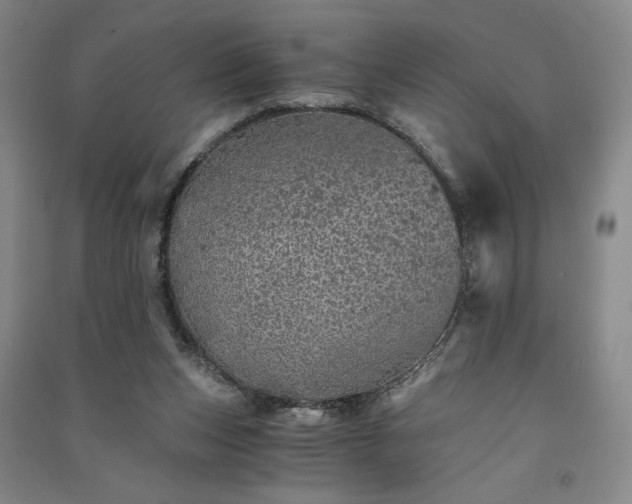 X0000091340159200708171418