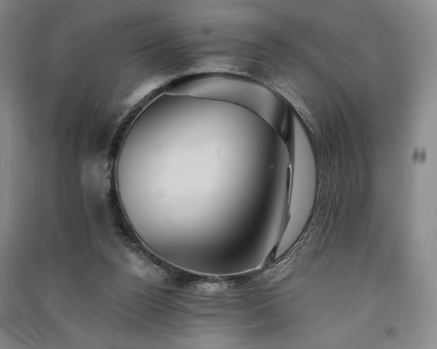 X0000091340160200708171418