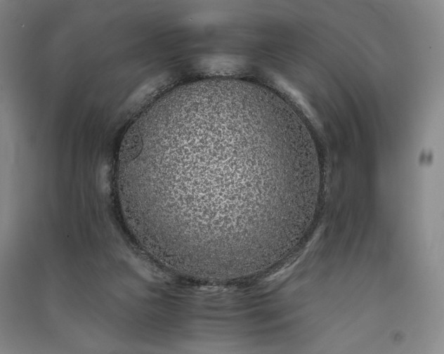 X0000091340161200708171418