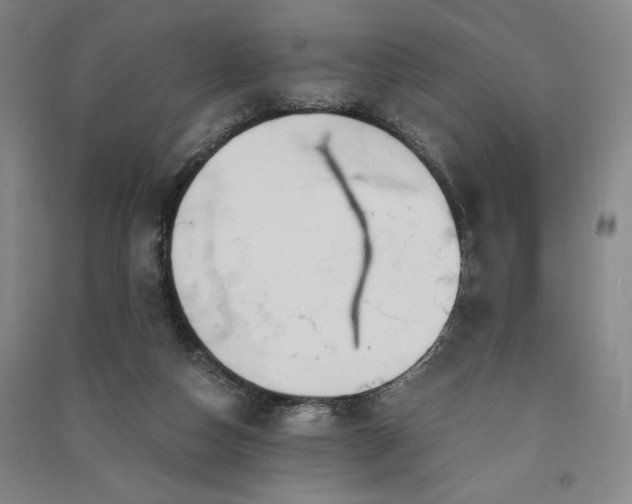 X0000091340162200708171418