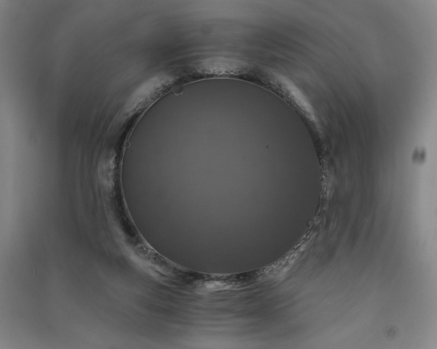 X0000091340163200708171418