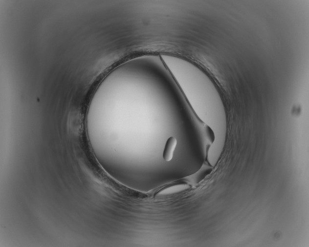 X0000091340164200708171418