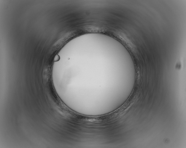 X0000091340165200708171418