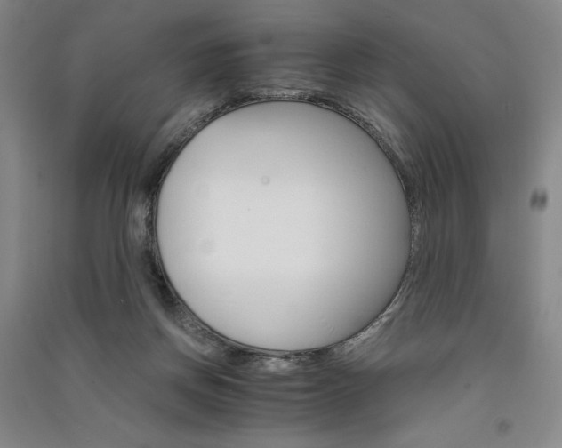 X0000091340166200708171418