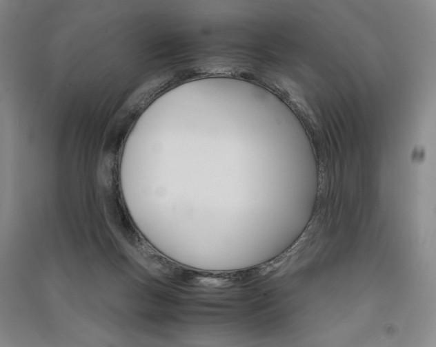 X0000091340167200708171418