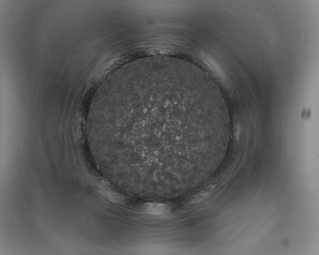 X0000091340169200708171418