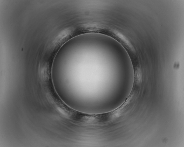 X0000091340170200708171418