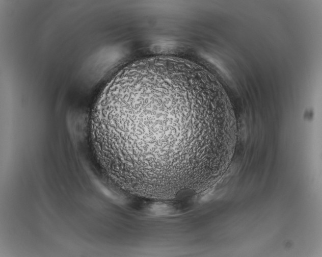 X0000091340171200708171418