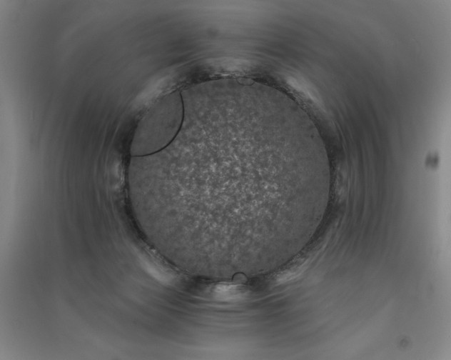 X0000091340173200708171418