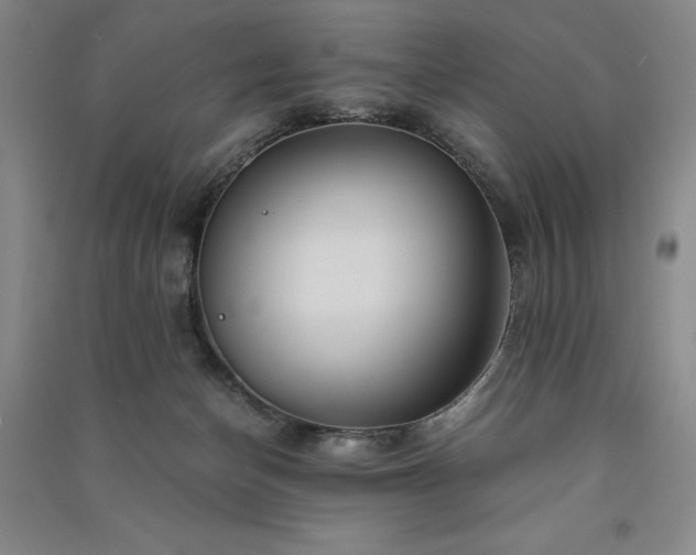 X0000091340174200708171418