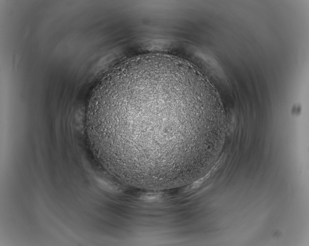 X0000091340175200708171418