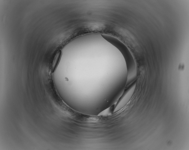 X0000091340176200708171418