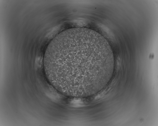 X0000091340177200708171418