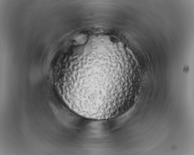 X0000091340178200708171418