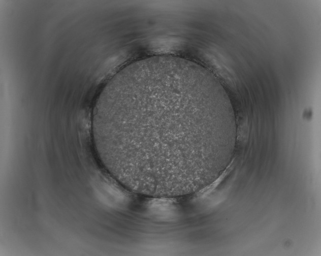 X0000091340179200708171418