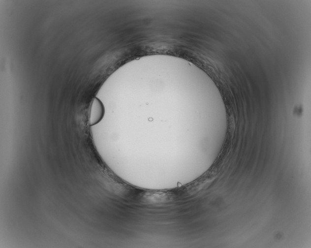 X0000091340181200708171418