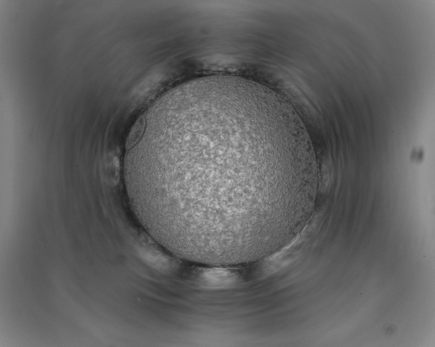 X0000091340183200708171418