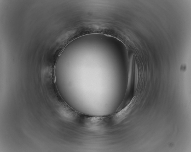 X0000091340184200708171418