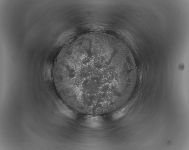 X0000091340185200708171418