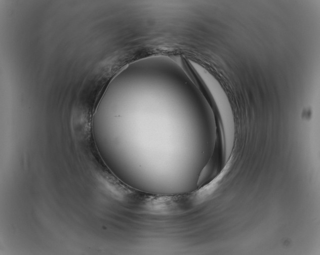 X0000091340186200708171418