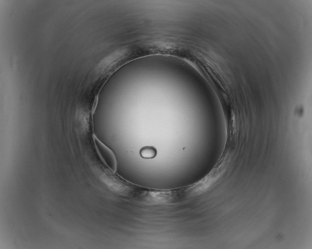 X0000091340188200708171418