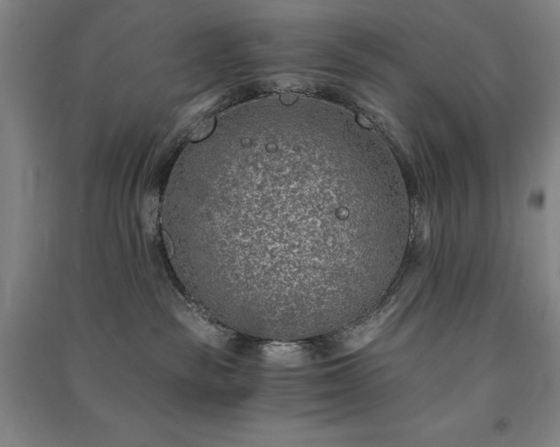 X0000091340189200708171418