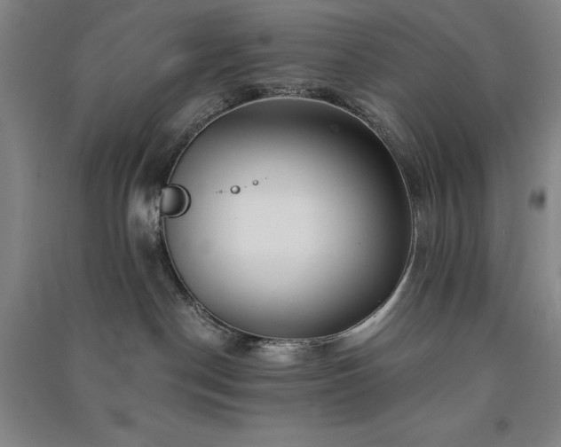 X0000091340190200708171418