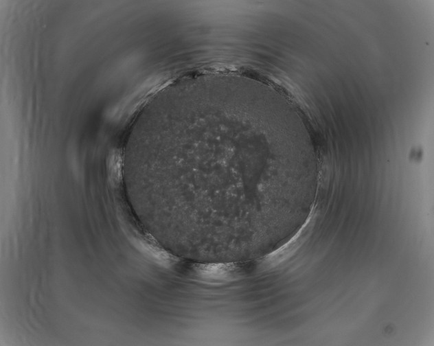 X0000091340191200708171418