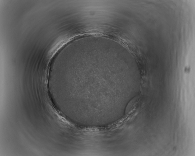 X0000091340194200708171418