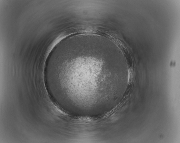 X0000091340195200708171417