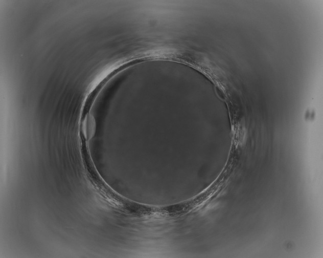 X0000091340196200708171417