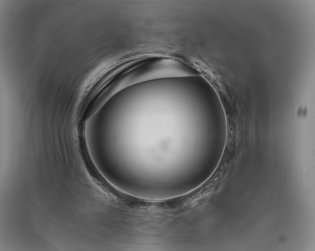 X0000091340197200708171417