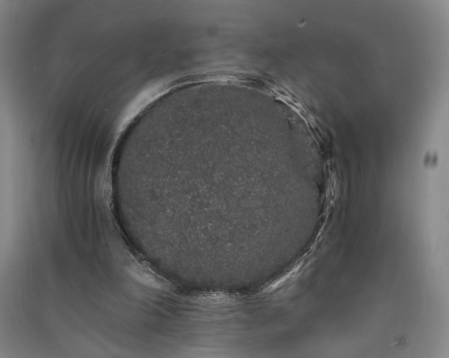 X0000091340198200708171417