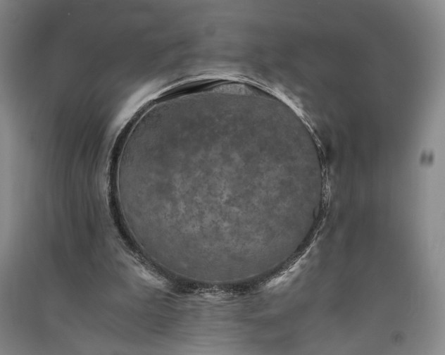 X0000091340199200708171417