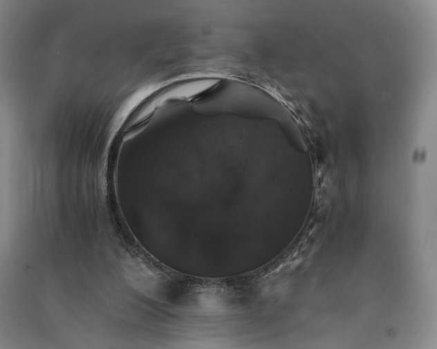 X0000091340200200708171417