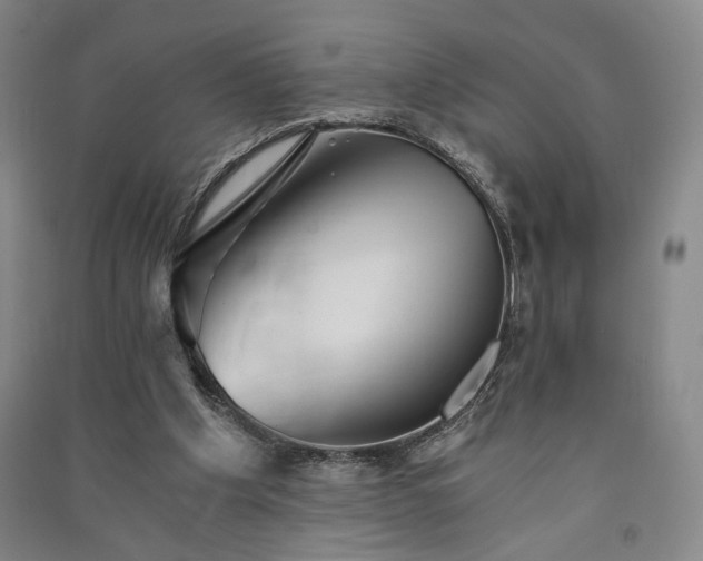 X0000091340201200708171417