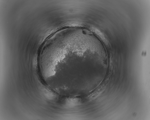 X0000091340202200708171417