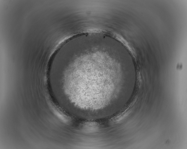 X0000091340203200708171417