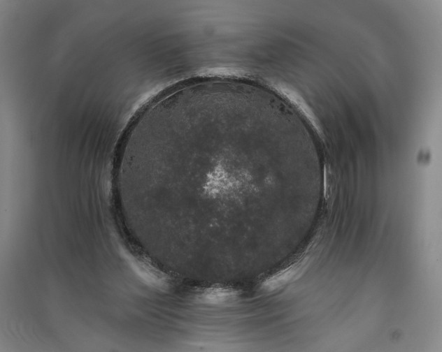 X0000091340204200708171417