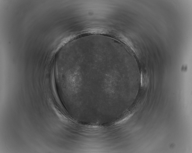 X0000091340205200708171417