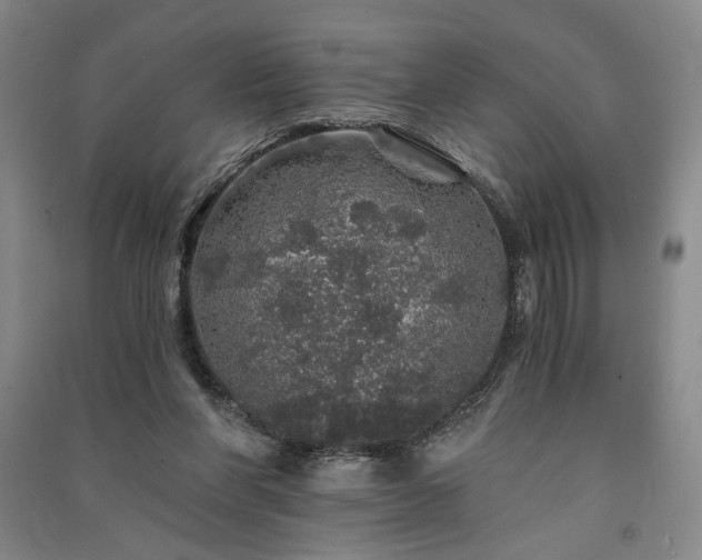 X0000091340206200708171417